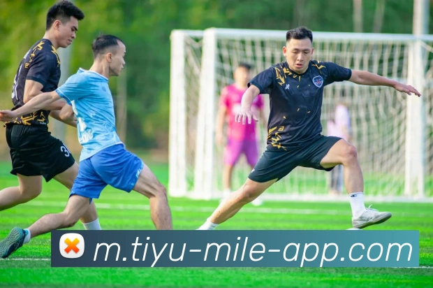 米乐体育APP 封面图